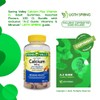 Calcium Plus Vitamin D, Adult Gummies, 500 mcg, 1000 IU,