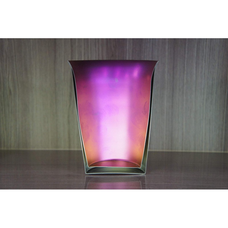 HORIE T15SN250G2SET Titanium Double Layer Tumbler, Limited Model, Gold, Set