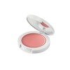Amritara Damask Rose Cheek Creamy CC1 Bloom Pink 0.1 oz