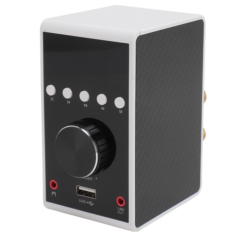 200W Bluetooth 5.0 Amplifier HIFI Stereo Sound Digital Amp Wireless