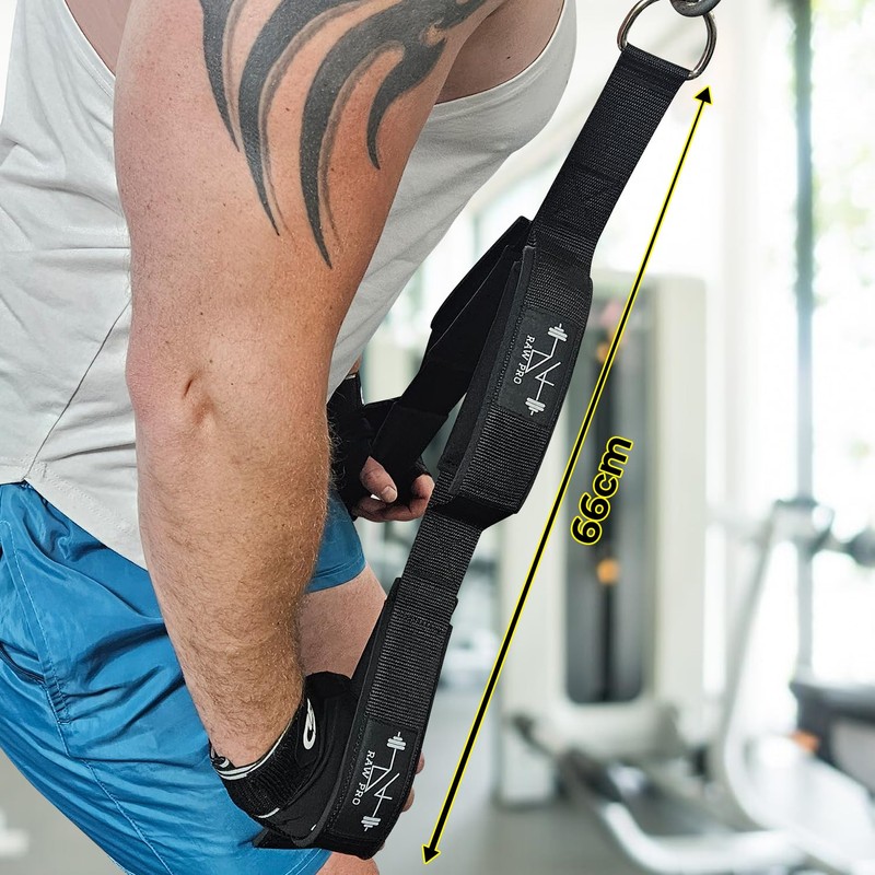 DanRaw Pro Tricep/Bicep Rope Cable Attachment - Double Loop Design