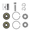41.1mm Piston Kit Crank Bearing Fit for Poulan 220 221
