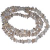 ViciBeads Necklace, Natural Continuous Shell Chips - 33" + GIFT