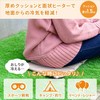 Yamazen YTC-WARM-OC4 Heater Cushion, Hot Mat, Seat Cushion, Storage Pouch