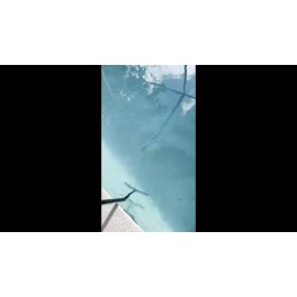 Nicecho 72" long pole Swimming Pool cleaning Brush + 18" wide Brush Head Nylon Bristles