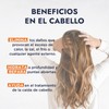 Hebbe - Aceite de Zanahoria 100% Puro, Hidratante y Reafirmante