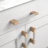 Coinkoly 10 Pack 3"(76mm) Brushed Satin Nickel and Champagne Bronze