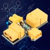 XT30 XT60 Fuse Antishort Circuit Protection Test Insurance Plug for