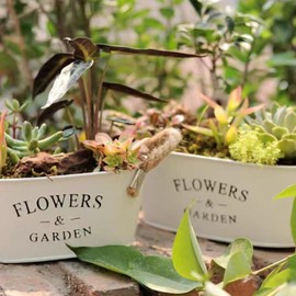 Four piece set of retro square flower pots for home gardening, small and medium-sized iron pots with handle ropes, perfect for outdoor courtyard garden and plantation decoration, succulent flower and plant containers, and home decor