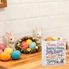 Happy Easter Decorations for Home Spring Easter Decorations Bunny Chicks