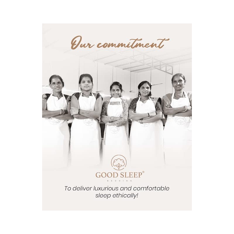 Good Sleep Bedding 1000 Thread Count 100% Egyptian Pillow Cases,