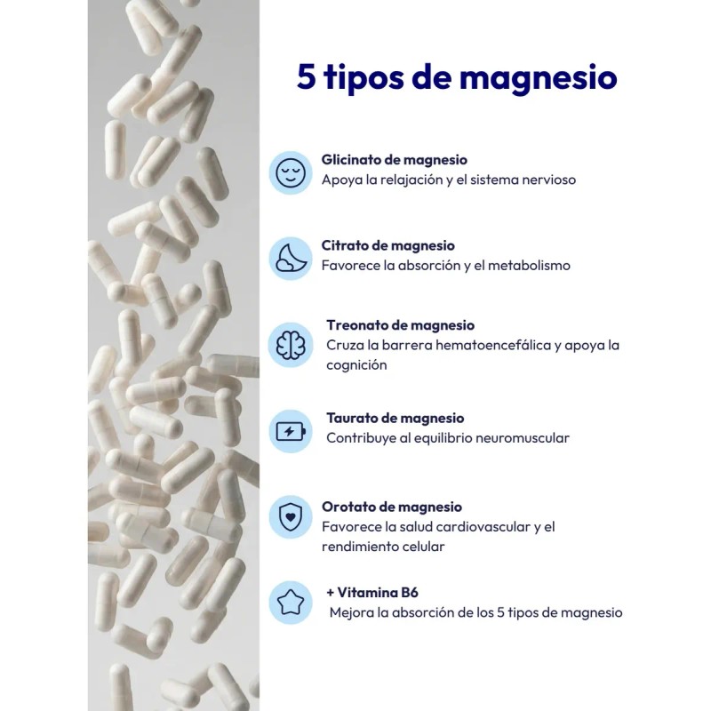Molecular Labs Magnesio Cápsulas 600 Vitamina Tipos