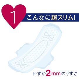 Ellis Compact Guard with Wings (For Especially Large Days), 9.8 inches (25 cm), 19 Sheets x 3