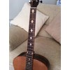 Inlaystickers Fret Markers for Guitars & Bass - Fleur de