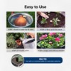 The Olla Company Classic Olla Watering Pot with Lid -