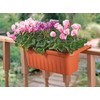 Apollo Exports International AP-30218TC 24" Adjustable Railing Planter, Terra Cotta