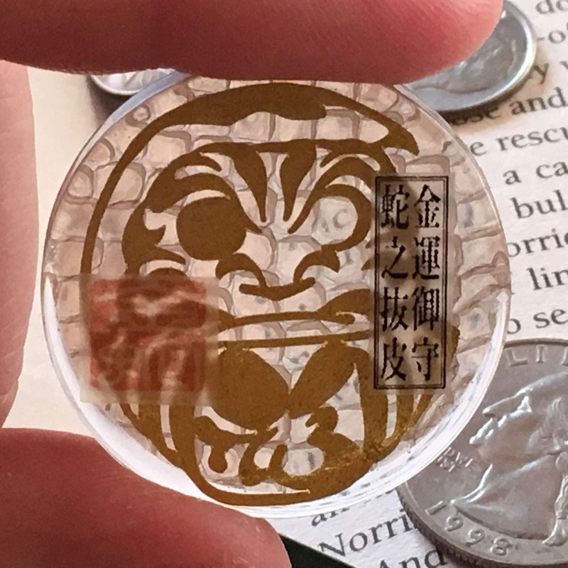 Real Snake Shedding 《Good Luck Pocket Token》 Traditional Lucky Charm