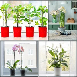 16 Inch Plant Support Stakes (Pack of 7), Garden Single Stem Amaryllis Flower Stake, Metal Plant Cage Support Rings Plants Support Sticks with 10 PCS Plant Clips