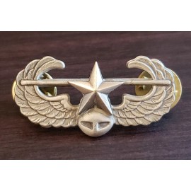 Air Assault Star Badge Insignia Military 101st Airborne US Army Combat Hat Pin