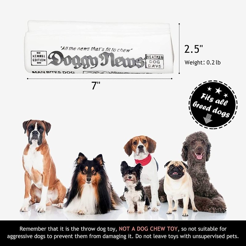 GabeFish 2PC Funny Newspaper Squeaky Toy for Small Dogs, 7