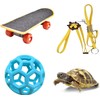 BFSYRR Tortoise Toys, Adjustable Leash and Skateboard, Tortoise Treat Ball,