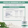 NAIMA Berberine HCL 97%, 100 Cápsulas | Suplemento Alimenticio 100%
