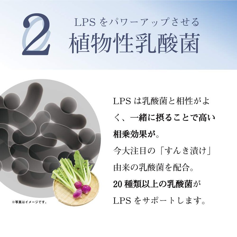 LPS 粒 （リポポリサッカライド） 90粒入り LPS COREBI コレビ