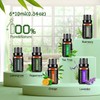 Essential Oils Sets Pure Oils kit- Top 6 Aromatherapy Oils