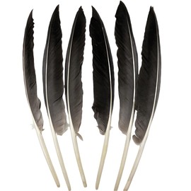 50pcs Dark Grey Feathers 10~12 Inches Long,Beautiful Feather for Crafts 26-31CM,Big Size Bilateral Natural Goose Feather,for Wedding Dress and Party Decoration,DIY Fabricating Handicraft Article (Dark Grey)