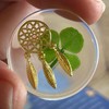 Real Four Leaf Clover Good Luck Pocket Token, Preserved, 1.25”,