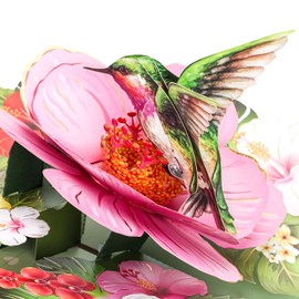 Birthday Card, Hover Hummingbird Pop Up Card, 3D Greeting Cards for Birthday, Mothers Day, Anniversary, Thinking of You, Graduation, Spring, All Occasion