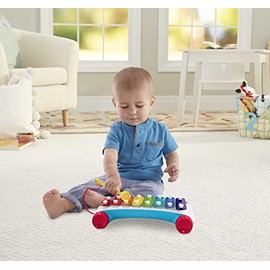 Fisher-Price Xilófono Clásico 8 Teclas de Colores 18+ Meses | Crea canciones siguiendo las notas; mazo fijo y ruedas para llevarlo
