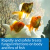 API PIMAFIX bordeaux mixture Freshwater and Saltwater Fish Remedy 4-Ounce