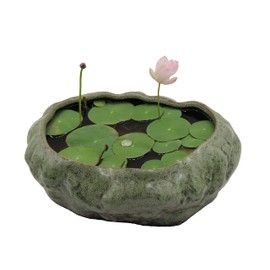 Bonsai Lotus Pot, Shallow Succulent Planter Pot, Goldfish Pot, Premium Ceramic with Decorative Copper Patina Glaze