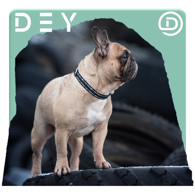 DEY - Premium Nylon Dog Collar, Reflective, Adjustable, for Small