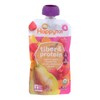 UD_Happy Tot Organic Toddler Food Stage 4 Pear Raspberry Butternut