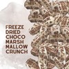 PinkeySmile Choco Marshmallow Crunch Freeze-Dried Candy 2.5 oz – Light