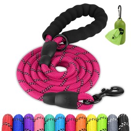 Joytale Dog Leash for Small Dogs, Heavy Duty Nylon Leashes with Comfortable Padded Handle and Highly Reflective Threads, Ideal for Walking and Training, Hotpink, 5'×3/8''
