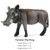 Funshowcase African Jungle Animals Female Warthog Sow Toy Figure Realistic