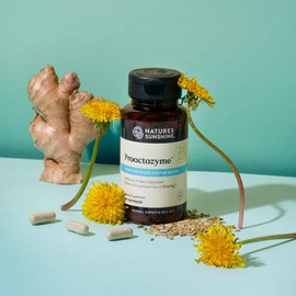 Nature's Sunshine Proactazyme 100 Capsules