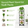 iDavosic.ly 4 Tier Corner Plant Stand Indoor, 45 Inch Tall
