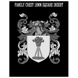 Wella Family Crest Family Name Coat of Arms Heraldry Engraved Letter Opener