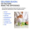 3-Pack Cellfood Silica (118ml each)