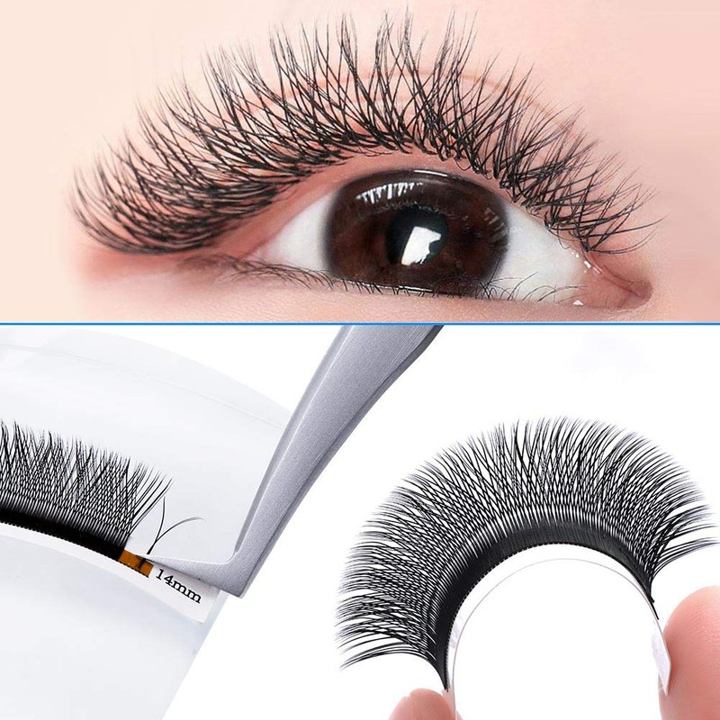 Y Eyelashes, 2D Eyelash Fans, 0.07 mm Thickness, D Curl,