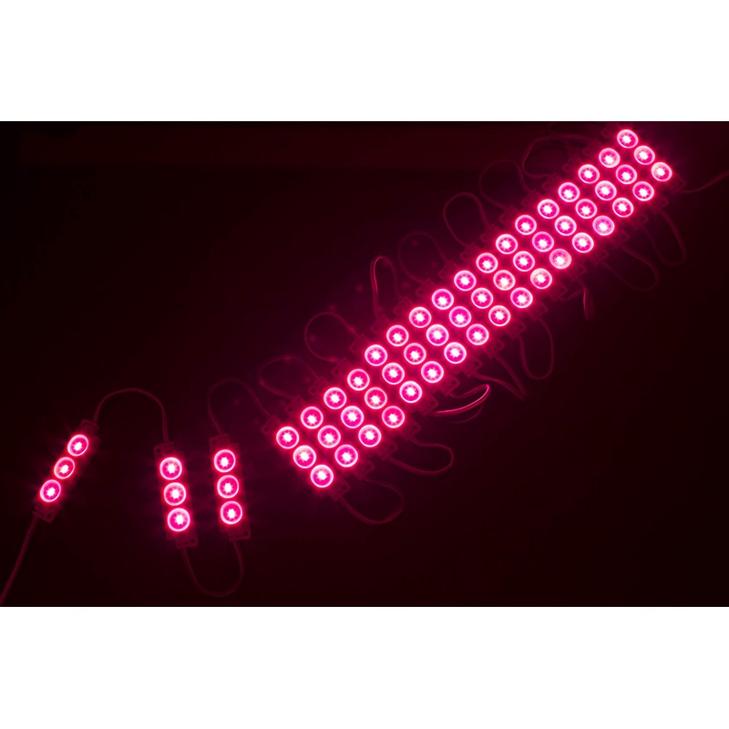 LEDUPDATES 20ft Storefront Super Bright Magenta hot Pink LED Light
