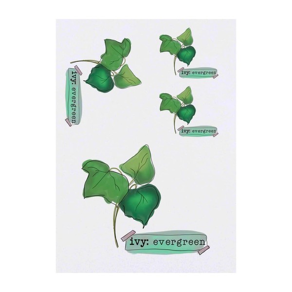 4 x 'Ivy Evergreen' Temporary Tattoos - Water Resistant, Skin-Safe,