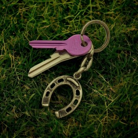 Dual Pack Lucky Horseshoe Riding Metal Oxide Color Key Chain Keyring