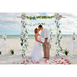 Foshird Pack of 3 Artificial Flower Garland, Decorative White Wisteria Artificial Flowers, Hanging for Garland, Wedding, Flower Wall, Room Decor, Garden Party (1.85 m)