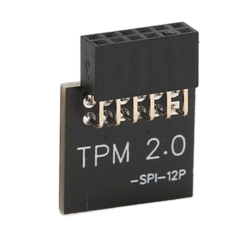 TPM2.0 Encryption Security Module for GIGABYTE Mainboard SPI 12Pin Security