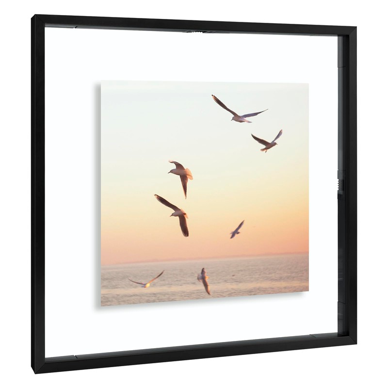 Frametory, 12x12 Floating Picture Frame - Metal Photo Frame -